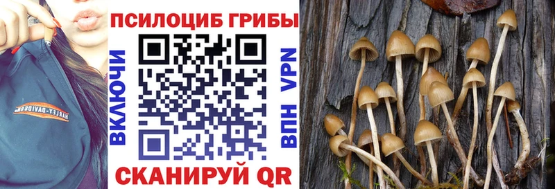 Галлюциногенные грибы прущие грибы  Назрань 
