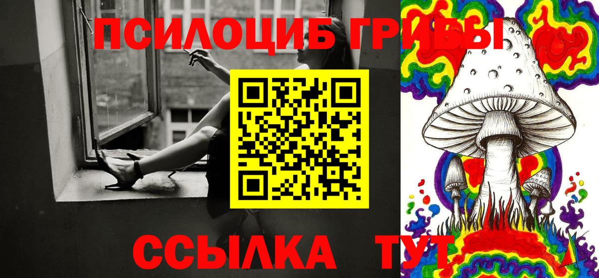 Назрань  где купить наркоту  Вход с VPN  Псилоцибиновые грибы Psilocybe 