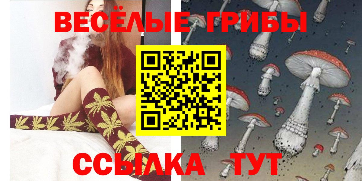 Псилоцибиновые грибы GOLDEN TEACHER Назрань